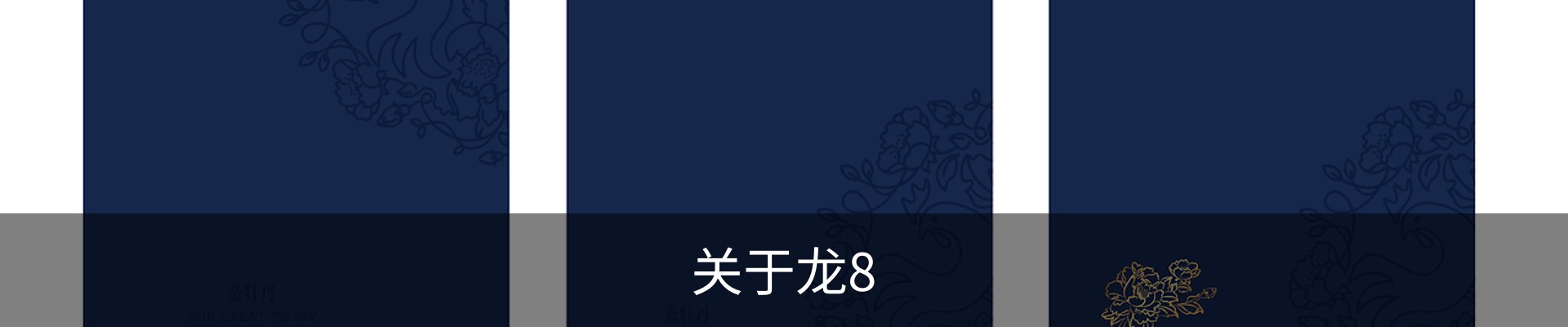 关于龙8